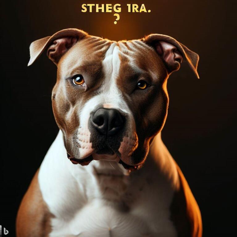 Czy amstaff jest inteligentny?